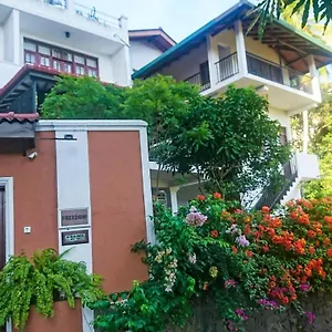 https://freedom-lodge-kandy-20000.negombohotels.net